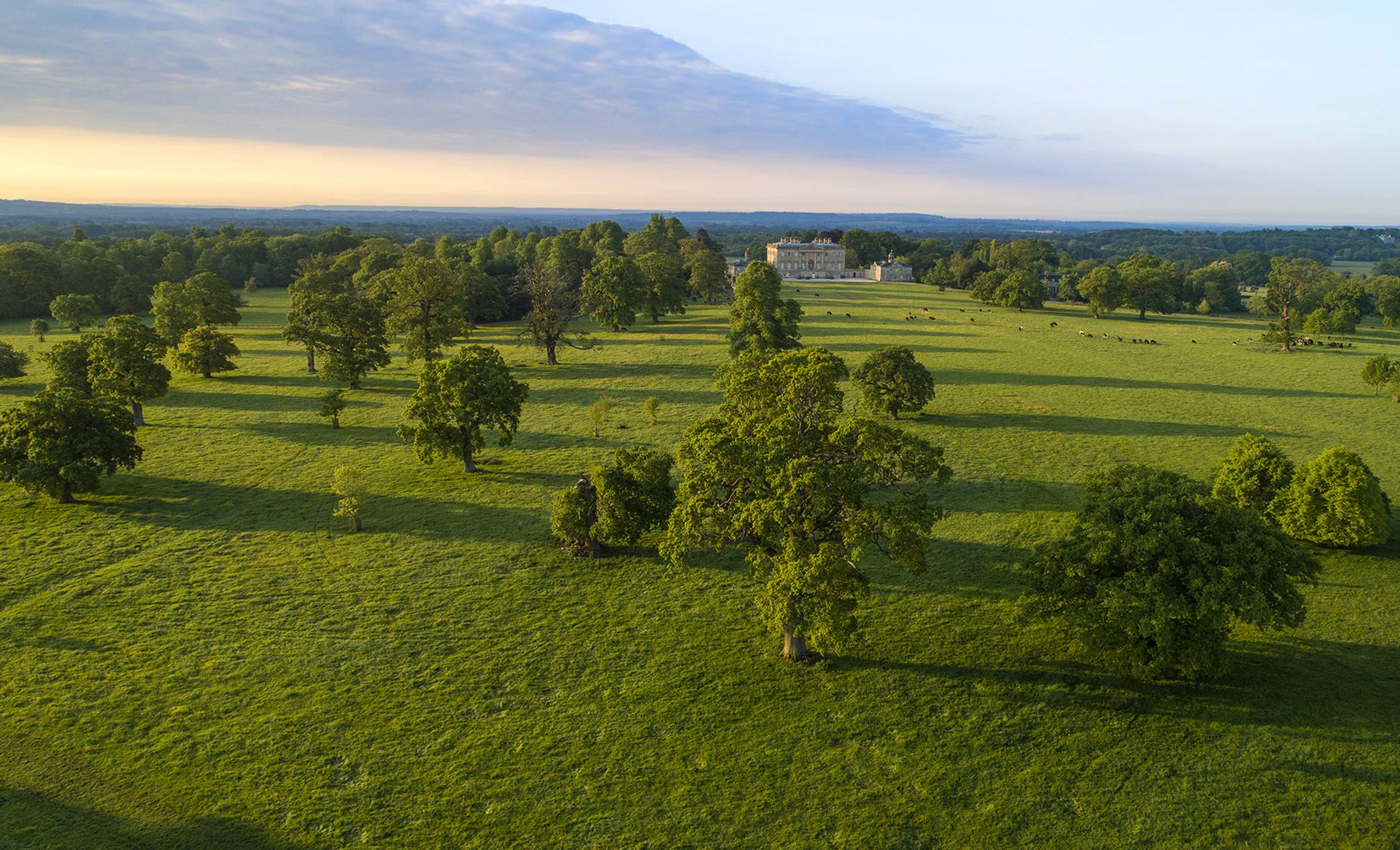 Trees, cattle grazing and far-reaching views within the Kirtlington Park Estate